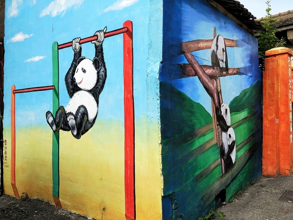 搶先曝光全台唯一3D貓熊彩繪村：【雲林斗南景點】石龜溪貓熊彩繪村~唯一以貓熊為主題的彩繪