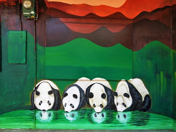 搶先曝光全台唯一3D貓熊彩繪村：【雲林斗南景點】石龜溪貓熊彩繪村~唯一以貓熊為主題的彩繪