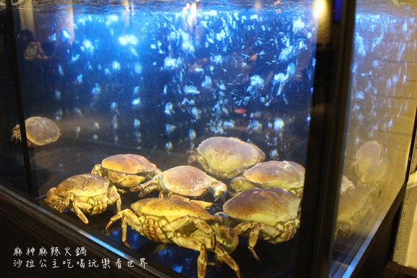 麻神麻辣火鍋：台北捷運美食『麻神職人嚴選麻辣火鍋』南京三民站/宵夜/桌邊服務