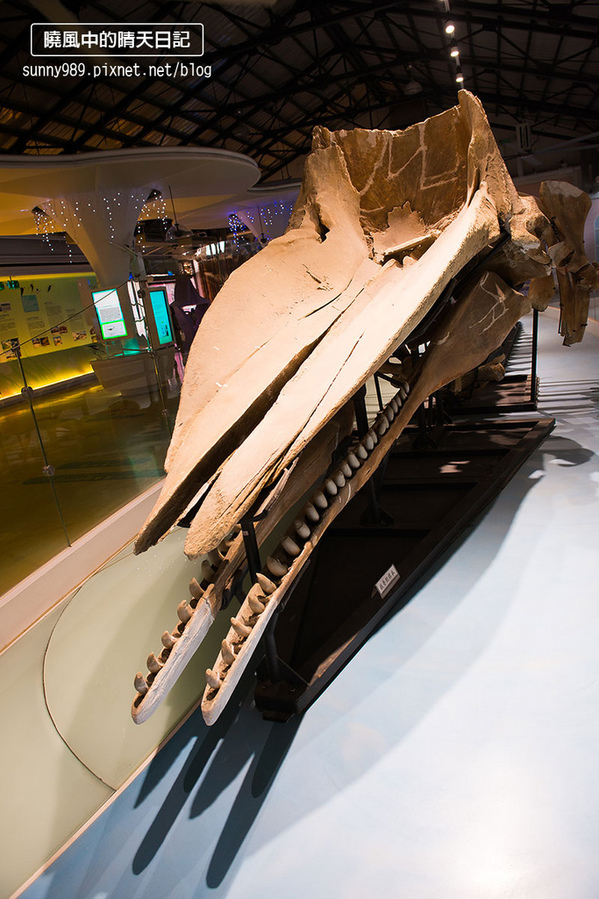 水晶教堂:【台南小旅遊】北門水晶教堂、錢來也、井仔腳小巡禮