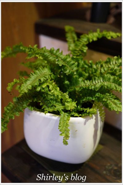 森 咖啡 morikoohii:嘉義‧Morikoohii 森咖啡