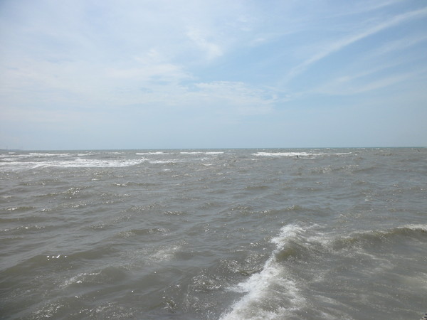 高平45年老店A18:【桃園永安.海鮮】高平52年海產老店☆吃海鮮就是要來漁港最新鮮