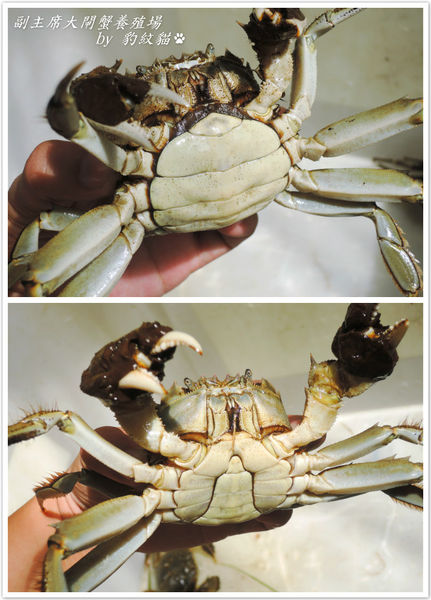 DSCN7732_meitu_15_meitu_15