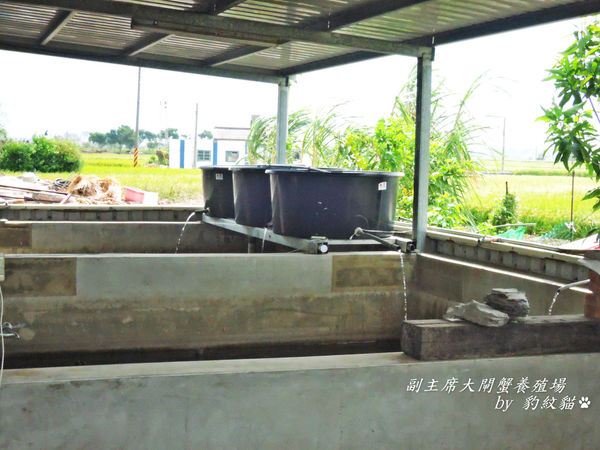 DSCN7647_meitu_19