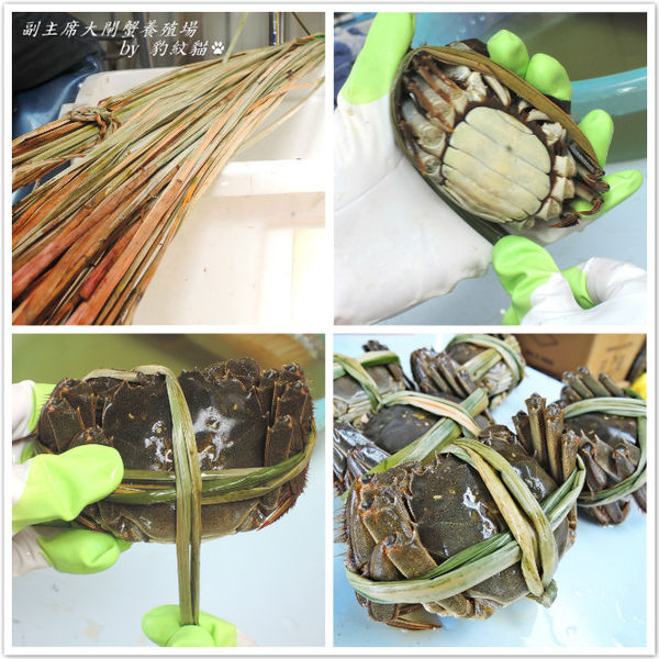 DSCN7776_meitu_28_meitu_1