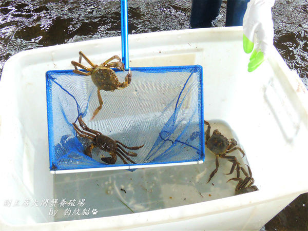 DSCN7717_meitu_14_meitu_13