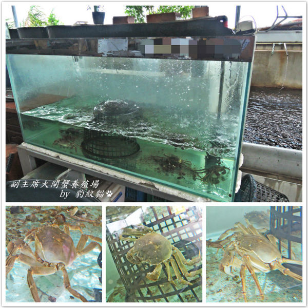 DSCN7755_meitu_22_meitu_5