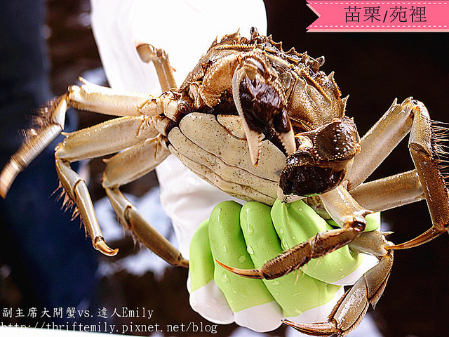 P1015310_副本_副本