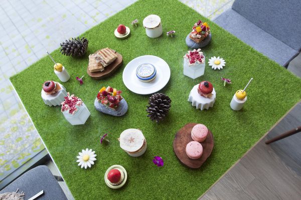 Yellow Lemon Picnic Concept - 15