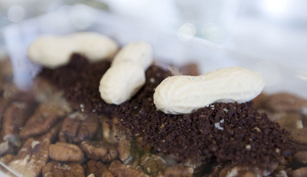 Yellow Lemon初訪-5