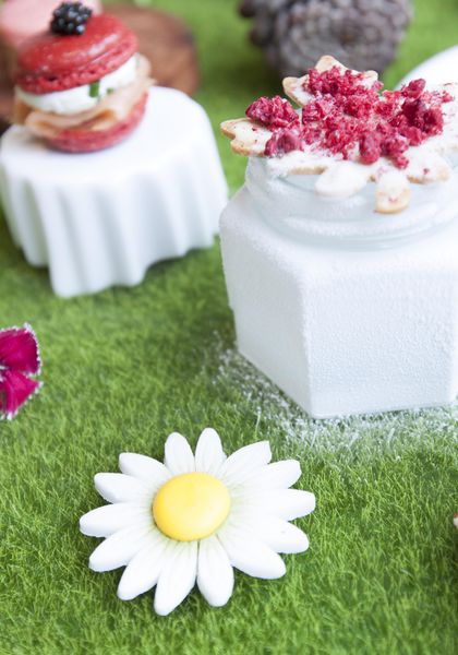 Yellow Lemon Picnic Concept - 7