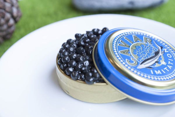 Yellow Lemon Picnic Concept - 9