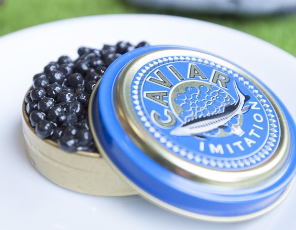 Yellow Lemon Picnic Concept - 10