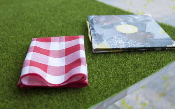 Yellow Lemon Picnic Concept - 29