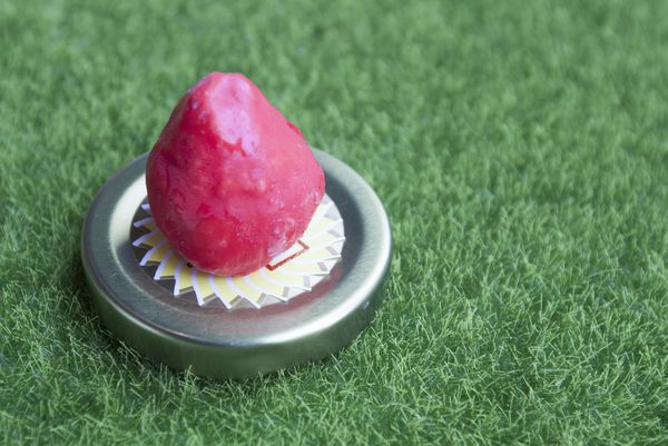 Yellow Lemon Picnic Concept - 28