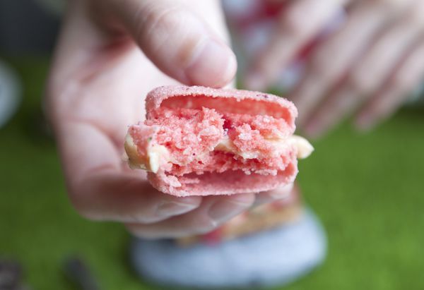 Yellow Lemon Picnic Concept - 4