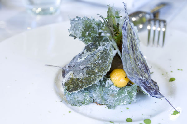 Yellow Lemon初訪-19