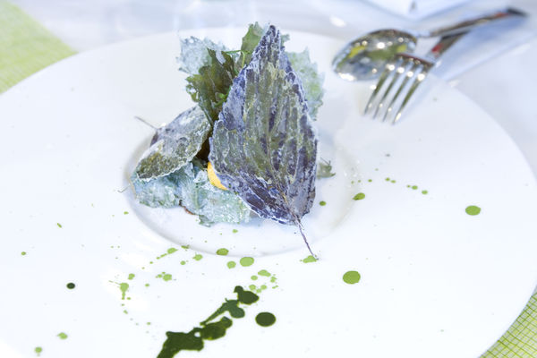 Yellow Lemon初訪-21