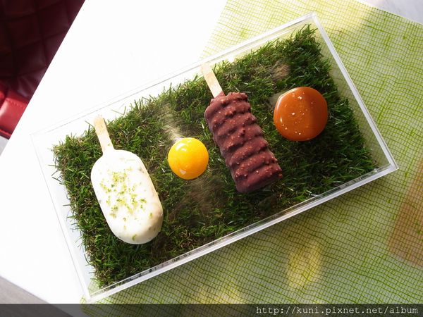 GRD3 31102014 Yellow Lemon大直 (24).JPG