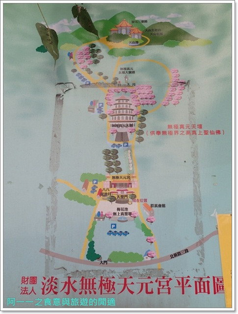 無極天元宮:淡水 天元宮~賞爆炸吉野櫻