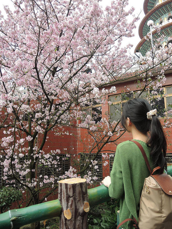 11064568_10204810660078680_1273013676_o