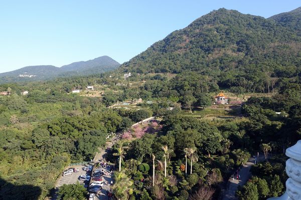 無極天元宮:(胖樺遊記) 賞櫻必來「淡水無極天元宮」。浪漫花海繽紛燦爛美不盛收