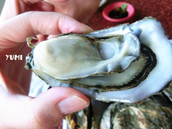 深水步海鮮碳烤：【南投食記】就是要新鮮fresh!南投也能吃到東石港的超美味鮮蚵@深水步蚵學院海鮮碳烤