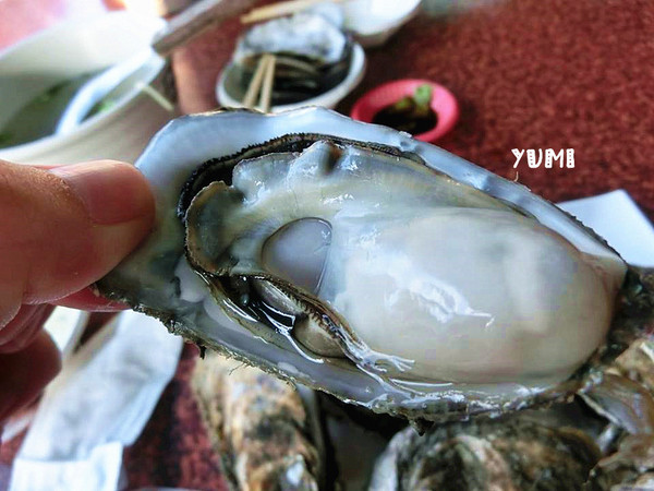 深水步海鮮碳烤：【南投食記】就是要新鮮fresh!南投也能吃到東石港的超美味鮮蚵@深水步蚵學院海鮮碳烤