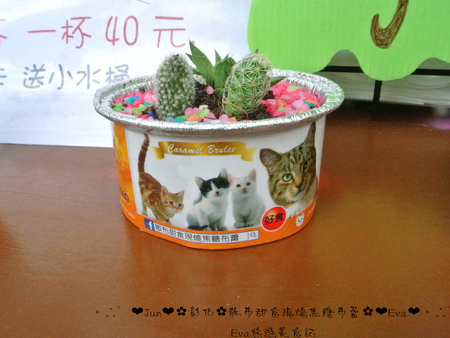 散布甜食現燒焦糖布蕾:【食記】oO。彰化 鹿港 散布甜食現燒焦糖布蕾 手作現燒焦糖烤布蕾 什麼?!現在居然出現了超療癒且人類也可以食用的貓罐頭?!。o○。