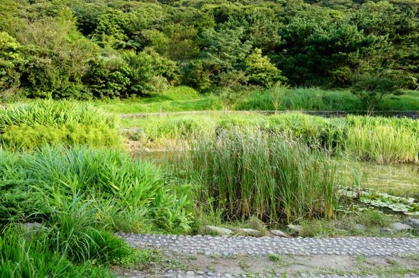 cm20140823___fee8bc17ce87dc61fb45a614c02