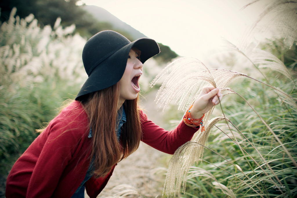 二子坪的管芒草散步小記