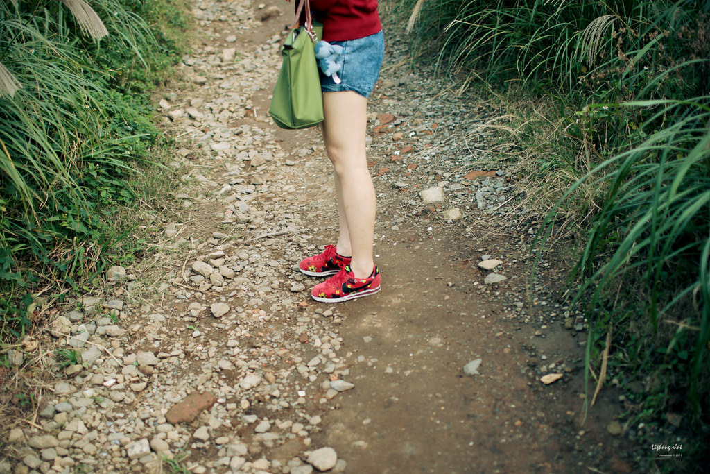 二子坪的管芒草散步小記