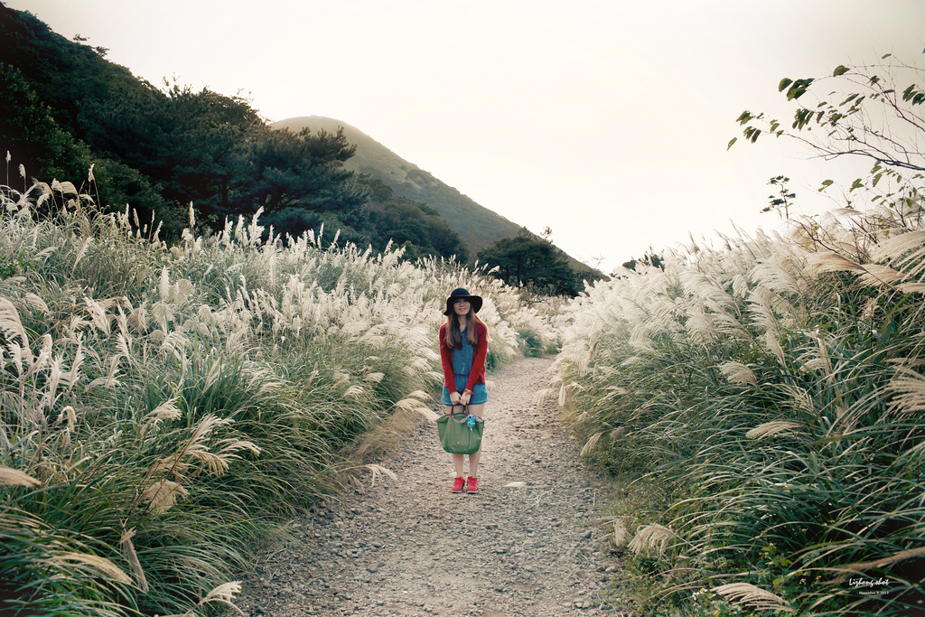 二子坪的管芒草散步小記