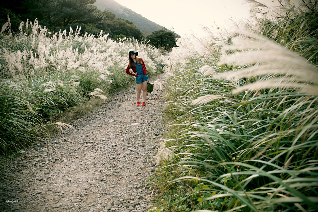 二子坪的管芒草散步小記