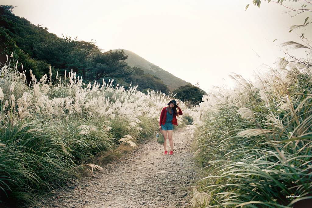 二子坪的管芒草散步小記