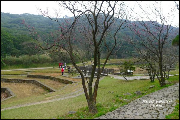 二子坪步道37.JPG
