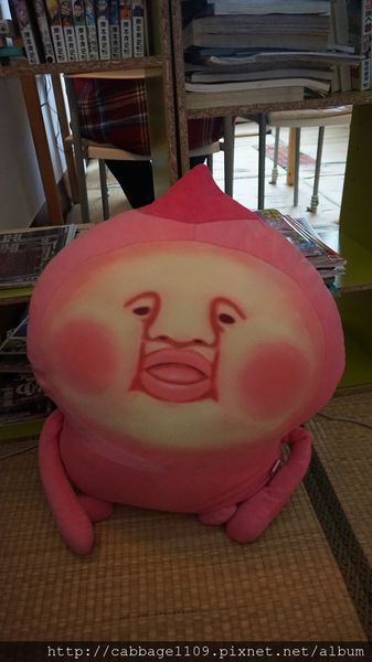 DSC04799 (複製).JPG