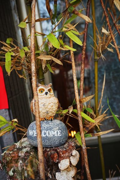 DSC09296 (複製).jpg