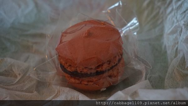 DSC04844 (複製).JPG