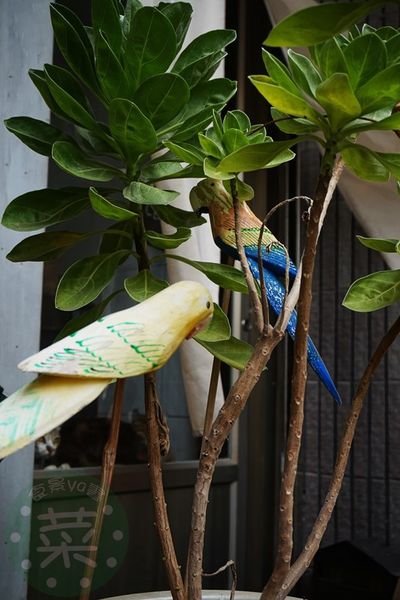 DSC09294 (複製).jpg