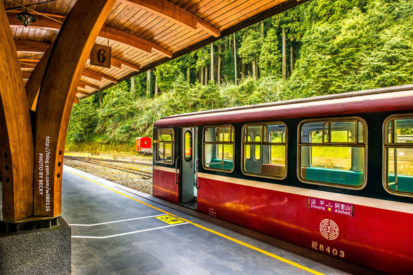 阿里山沼平車站姊妹潭:阿里山國家風景區→阿里山百年郵局.搭乘阿里山森林鐵路(沼平車站)至遊客稀少的檜木群環潭步道「姊妹潭」森呼吸│ 阿里山綠色鐵道之旅!