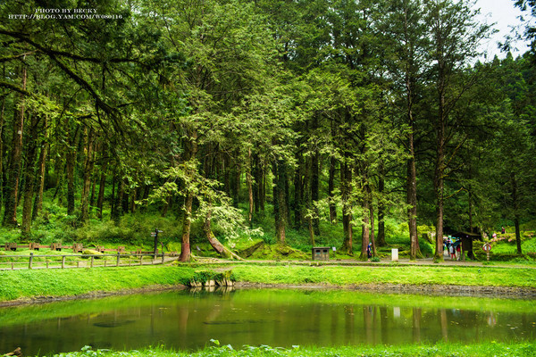 阿里山沼平車站姊妹潭:阿里山國家風景區→阿里山百年郵局.搭乘阿里山森林鐵路(沼平車站)至遊客稀少的檜木群環潭步道「姊妹潭」森呼吸│ 阿里山綠色鐵道之旅!