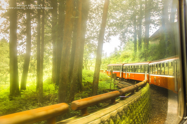 阿里山沼平車站姊妹潭:阿里山國家風景區→阿里山百年郵局.搭乘阿里山森林鐵路(沼平車站)至遊客稀少的檜木群環潭步道「姊妹潭」森呼吸│ 阿里山綠色鐵道之旅!
