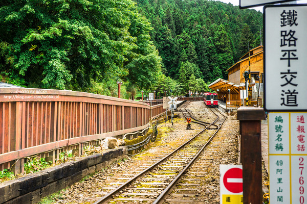 阿里山沼平車站姊妹潭:阿里山國家風景區→阿里山百年郵局.搭乘阿里山森林鐵路(沼平車站)至遊客稀少的檜木群環潭步道「姊妹潭」森呼吸│ 阿里山綠色鐵道之旅!