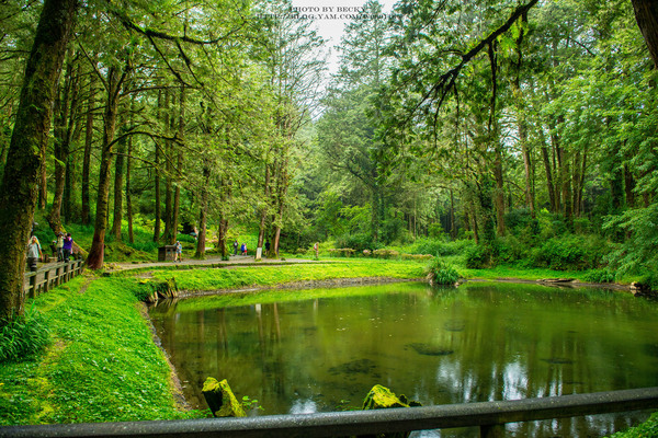 阿里山沼平車站姊妹潭:阿里山國家風景區→阿里山百年郵局.搭乘阿里山森林鐵路(沼平車站)至遊客稀少的檜木群環潭步道「姊妹潭」森呼吸│ 阿里山綠色鐵道之旅!