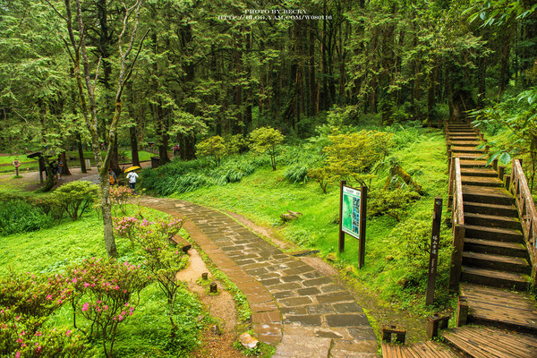 阿里山沼平車站姊妹潭:阿里山國家風景區→阿里山百年郵局.搭乘阿里山森林鐵路(沼平車站)至遊客稀少的檜木群環潭步道「姊妹潭」森呼吸│ 阿里山綠色鐵道之旅!
