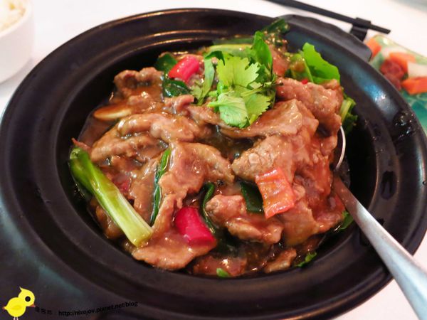 【板橋】重慶森林-美味而不失味的川菜