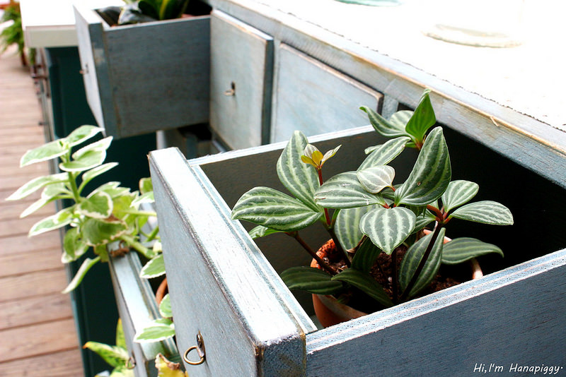 文創互動故事咖啡館long time ago cafe (11)