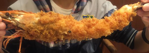 10750231_801265636583476_3773627429541948158_o