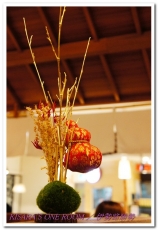 伊勢路勝勢日式豬排：黑嘛嘛豬排──伊勢路勝勢